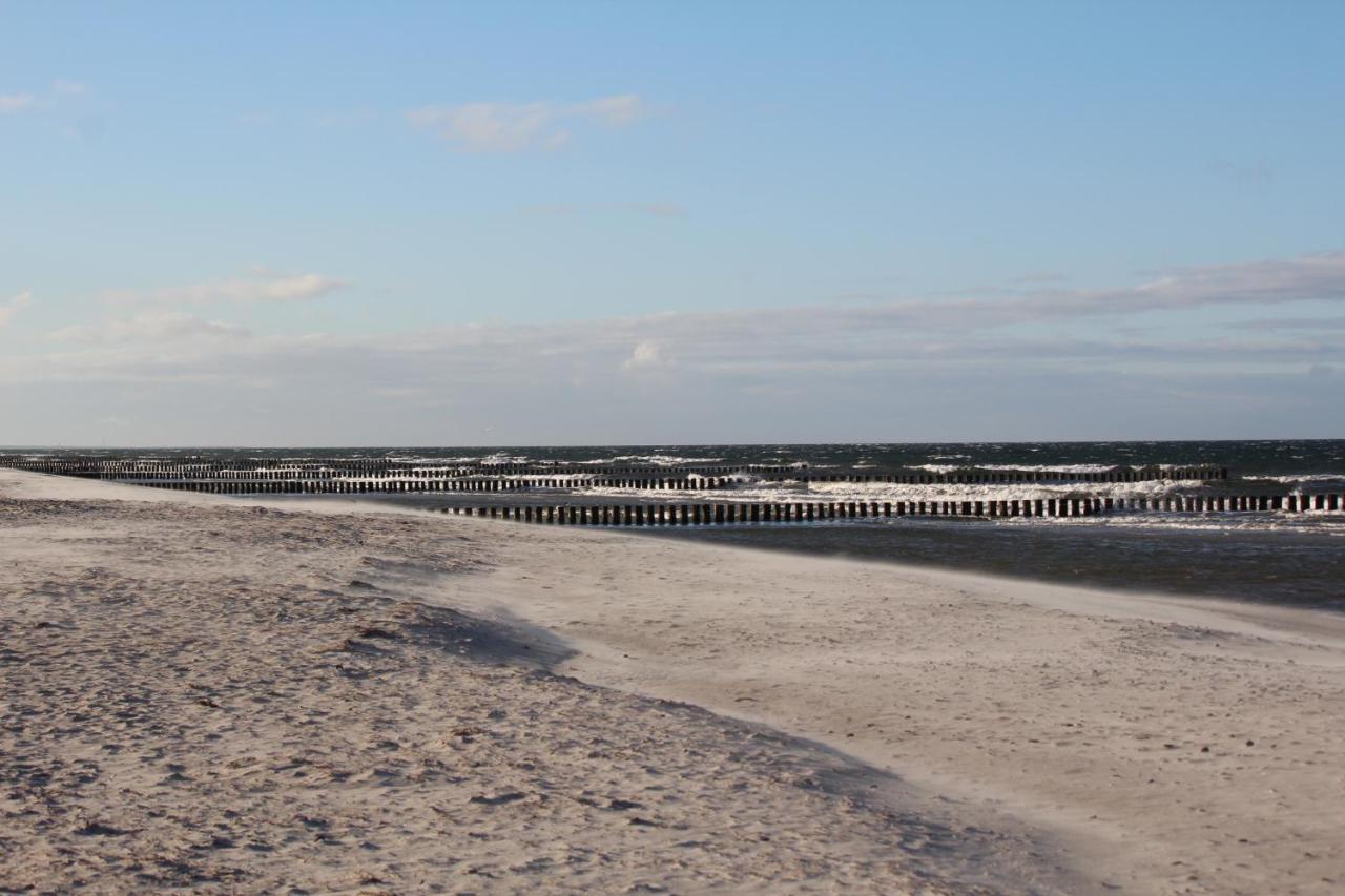 Zur Hanse Wohnung 1 1 Zingst Exteriör bild